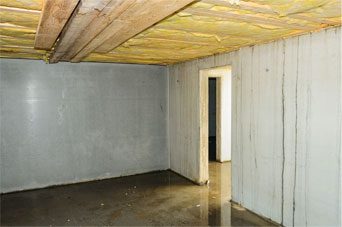 Basement wall Repair in College Grove